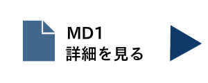 ワーク表面処理装置MD1